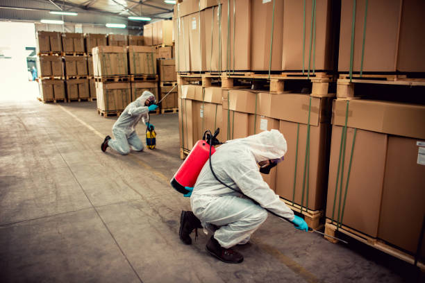 Professional Pest Control in Concord, AL