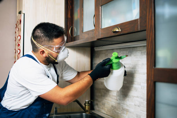 Best Commercial Pest Control Services  in Concord, AL