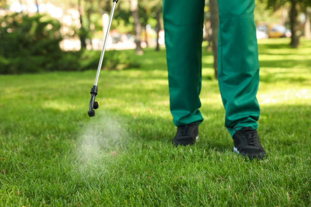 Best Termite Control Services  in Concord, AL