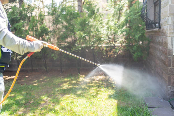 Best Emergency Pest Control  in Concord, AL