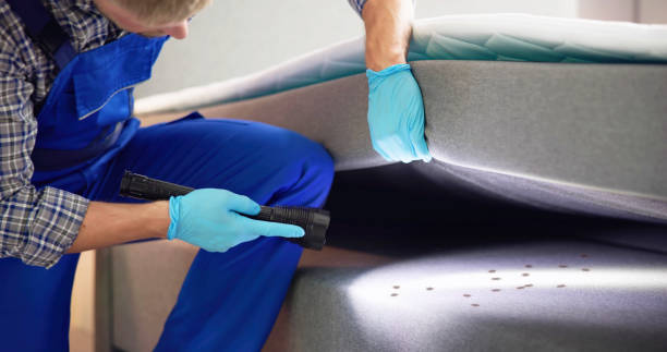 Best Flea Control Services  in Concord, AL
